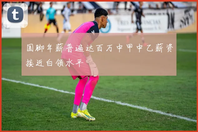 国脚年薪普遍达百万中甲中乙薪资接近白领水平
