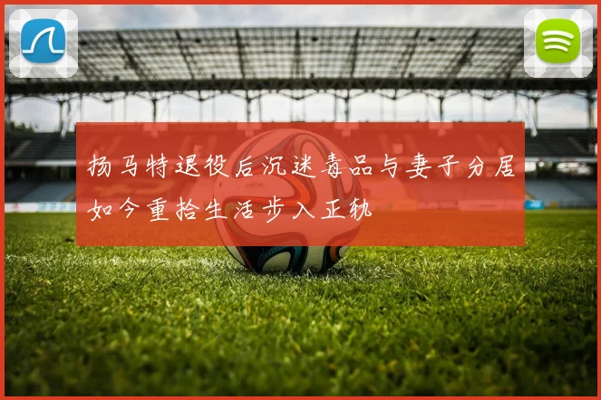 扬马特退役后沉迷毒品与妻子分居如今重拾生活步入正轨