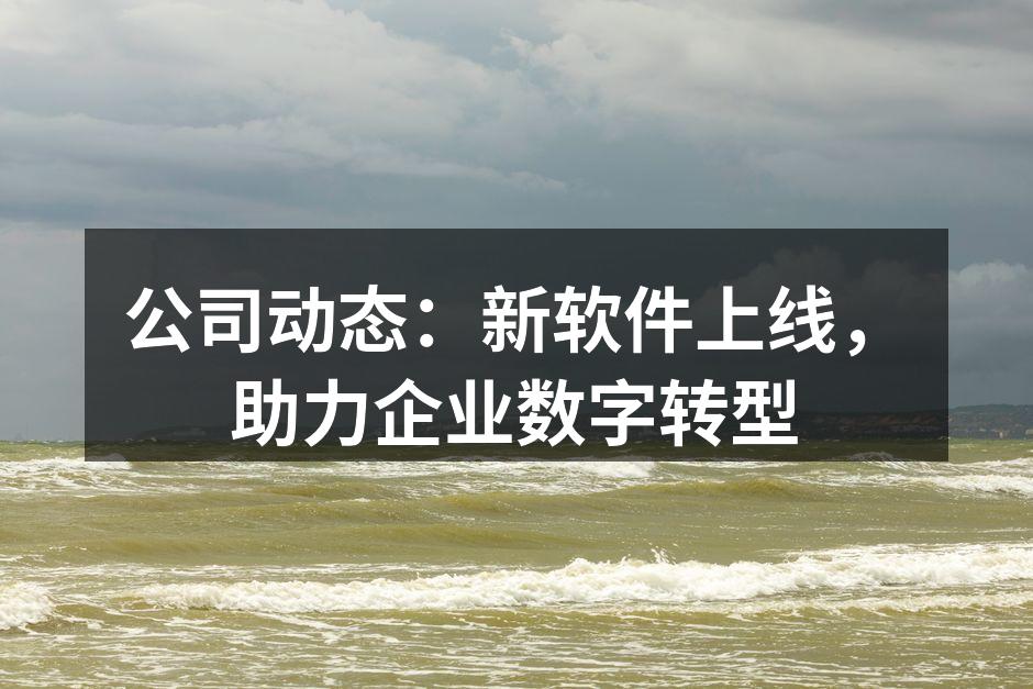 公司动态:新软件上线,助力企业数字转型