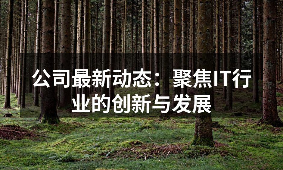 公司最新动态:聚焦IT行业的创新与发展