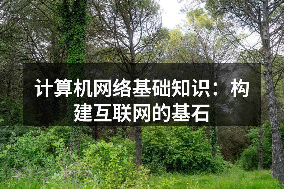 计算机网络基础知识:构建互联网的基石