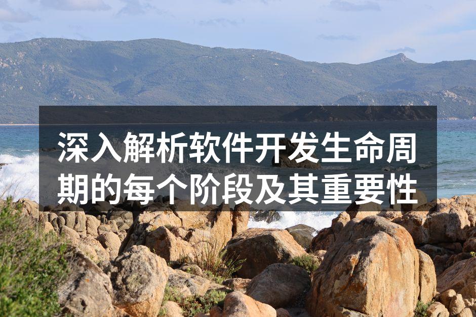 深入解析软件开发生命周期的每个阶段及其重要性