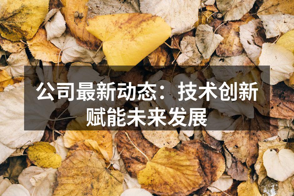 公司最新动态:技术创新赋能未来发展
