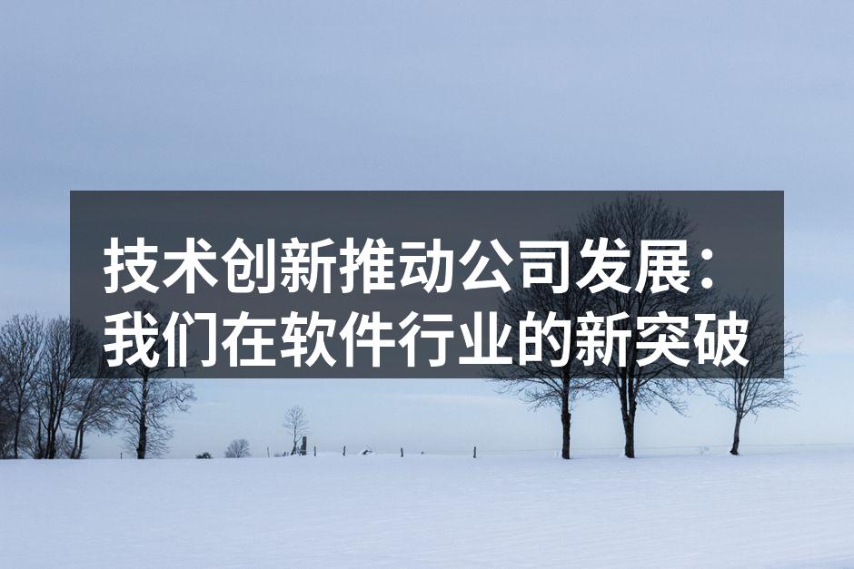 技术创新推动公司发展:我们在软件行业的新突破